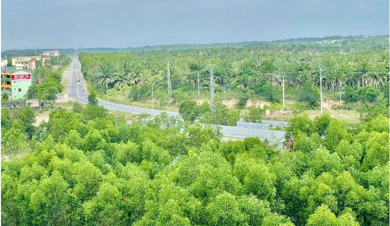 Quảng Trị: Chuyển chủ đầu tư dự án phát triển đô thị ven biển miền Trung